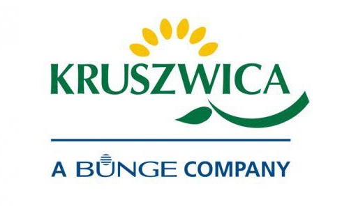 Kruszwica